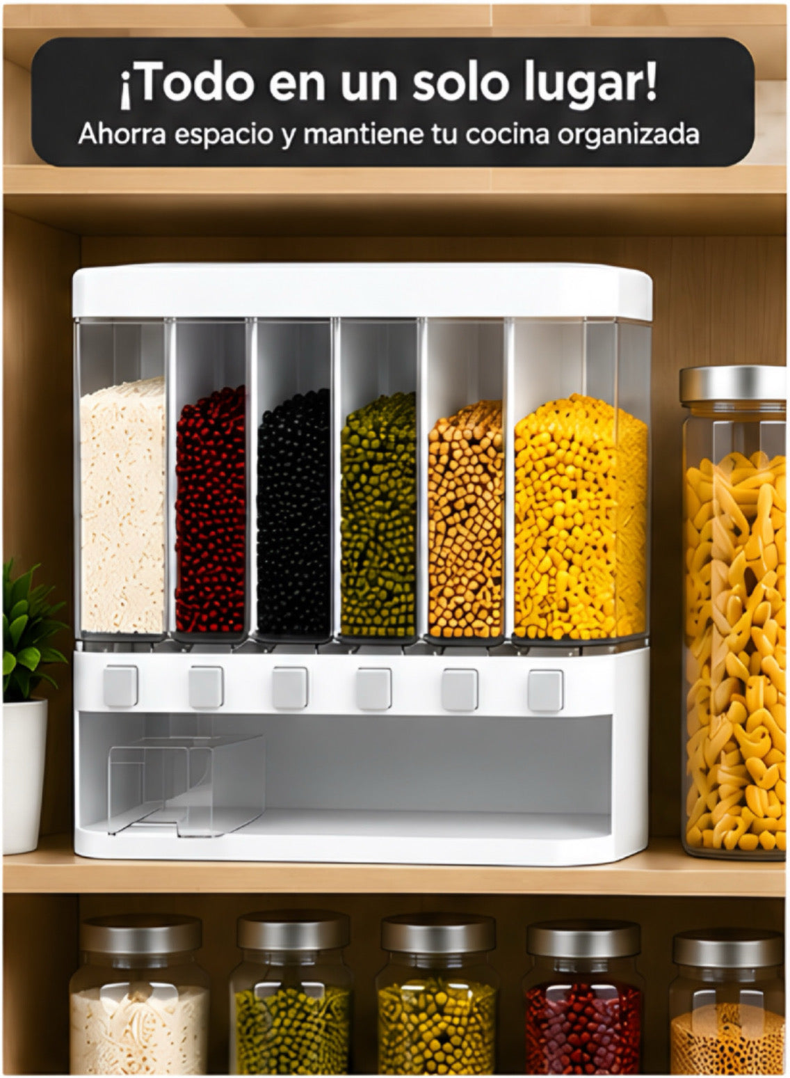 Dispensador de granos con 6 divisores