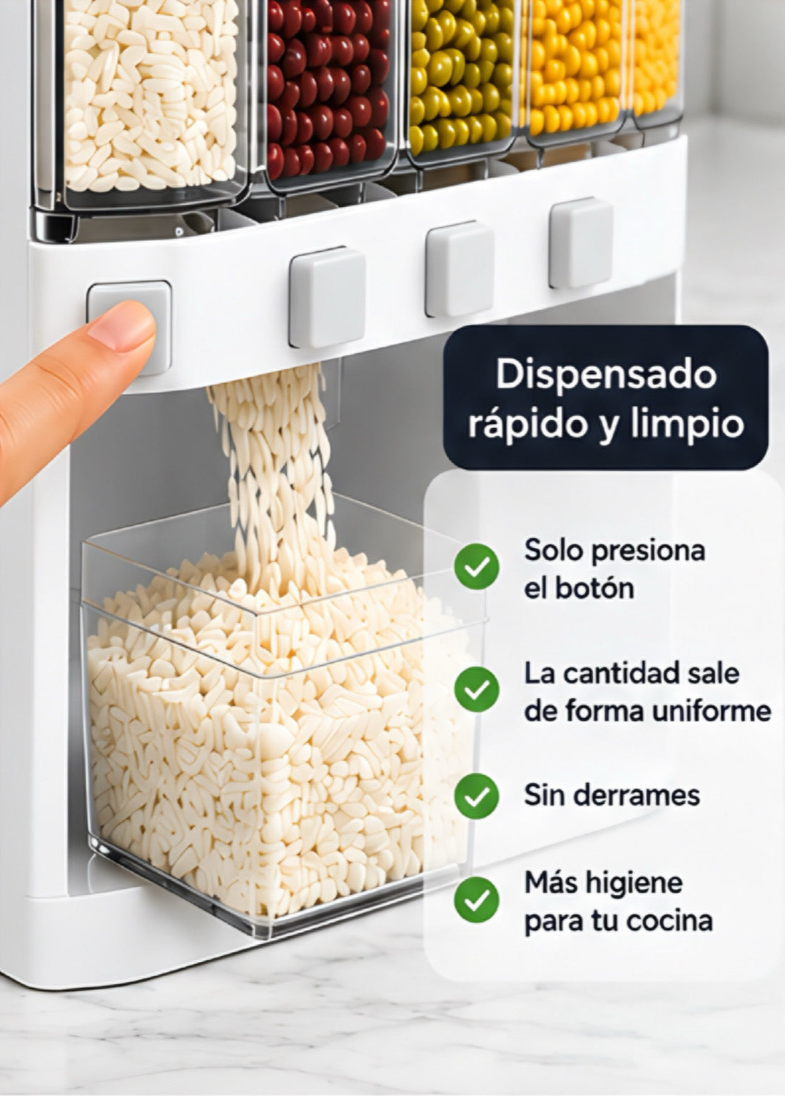 Dispensador de granos con 6 divisores